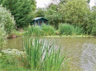 Trench Farm Fisheries & Touring Park