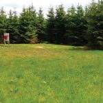 Kingswood Caravans
