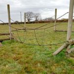 Kite Hill Farm Caravan & Camping Park