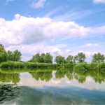 Reedham Ferry Complex Ltd
