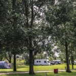 Reedham Ferry Complex Ltd